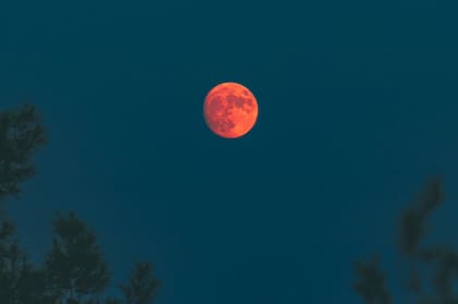 A qué hora se puede ver la "Luna de Sangre" desde la Argentina
