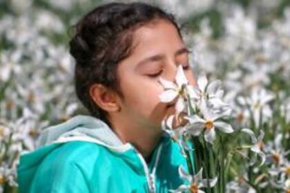 Cuando las temperaturas aumentan, las moléculas aromáticas en las flores y hojas se calientan y comienzan a vaporizarse, esto permite que los olores se difundan en el aire.