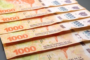 Quiénes cobran el refuerzo de la Anses de $55.000 en diciembre 2023