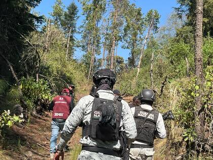 A raíz de las intensificaciones de los operativos, algunas bandas criminales decidieron esconderse y otras mudarse hacía otros lugares