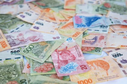 A reducir el gasto Milei frenó con la impresión de pesos, lo que está bajando la inflación.