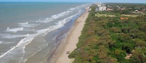 La playa del “millón de pinos” a solo cuatro horas de la Ciudad, ideal para una escapada exprés