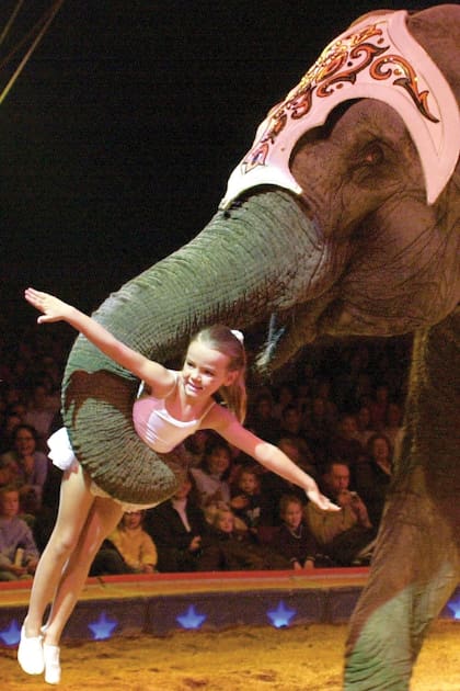 A sus 9 años, actuando con un elefante en la arena del Circo Suizo Knie, en Lugano. Su acto fue supervisado cuidadosamente por el experimentado entrenador de elefantes Franco Knie, pareja de su madre.