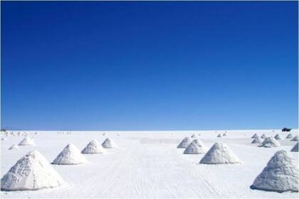A sus orillas se han construido hoteles de sal, en su centro está la Isla del Pescado, que se caracteriza por tener cactus de hasta 10 metros de altura.