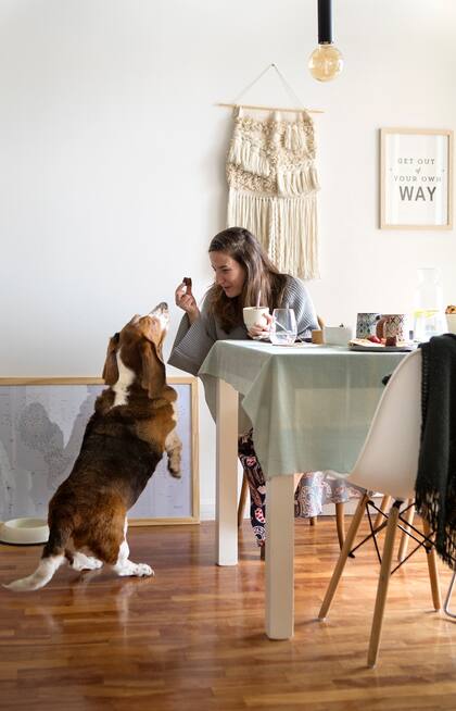 “A todos les encanta el mate, de Alto Estudio”.