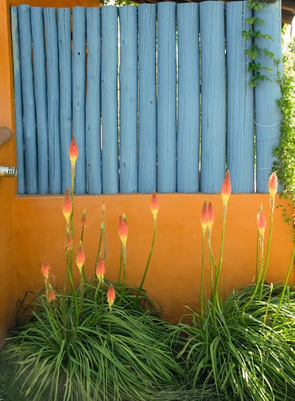 A tono con la estética de la casa, el uso de palos de madera pintados marca un punto de atención para el ojo, la excusa puede ser estética, pero el objetivo logrado es cubrir de la vista lo indeseado.