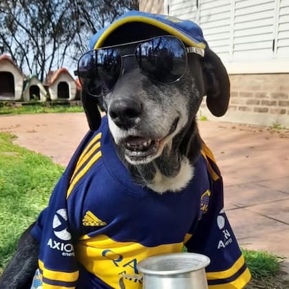 A través de las redes sociales, Lorenza comenzó a compartir el día a día de lo que sucedía detrás de las puertas del refugio.