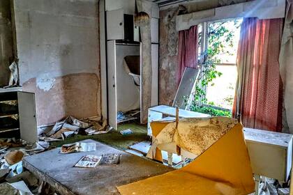 A través de una ventana, la vegetación se abre camino hacia la casa abandonada