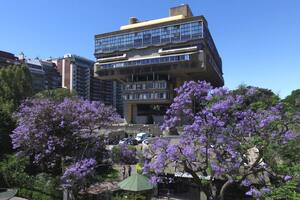 A tres meses de la asunción de Milei, aún no se designó oficialmente a la directora de la Biblioteca Nacional