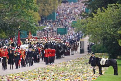 A un costado del Long Walk estaba Emma, la pony Fell favorita de Isabel II, junto al jefe de petiseros, Terry Pendry, que le puso sobre la montura un pañuelo de seda natural de Su Majestad con dibujos de caballos.