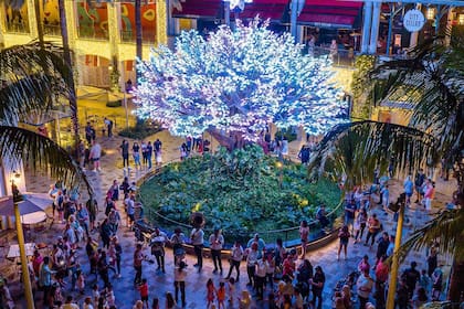 A una distancia cercana de la estación de West Palm Beach, se encuentra el moderno centro comercial The Square