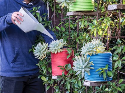 A veces, el rincón menos pensado es el terreno más fértil