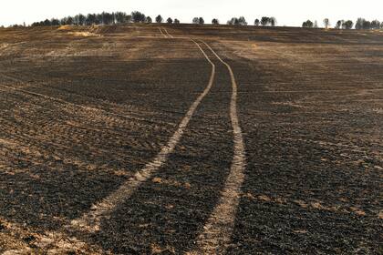 A view of the burned landscape after forest fires affected the area near to Miranda de Arga, around 40 kilometers (27m miles) from Pamplona, northern Spain, Thursday, June 16, 2022, as Spain´s weather service says a mass of hot air from North Africa has brought the countrys first major heat wave of the year. (AP Photo/Alvaro Barrientos)