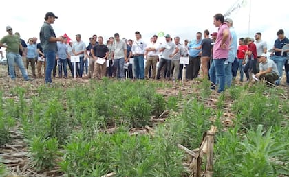 Aaprender es un nuevo espacio en el próximo Congreso Aapresid para fortalecer el vínculo entre campo y ciudad e inspirar a los profesionales del agro