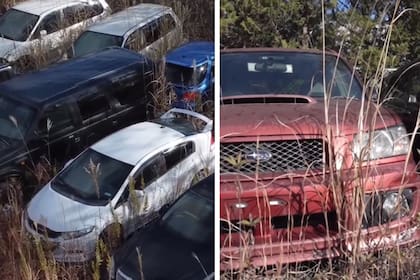 ¡Antes De Que Sea Demasiado Tarde! 7 Autos Económicos Que Desaparecen - pnrnh4b