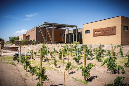 Abaucán es una novedad en la zona.