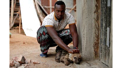 Abbas Yusuf, de 23 años, juega con un cachorro de hiena cerca de su casa