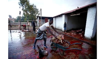 Abbas Yusuf, recoge la carne sobrante en el matadero de la ciudad para luego alimentar a las hienas