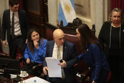 Abdala leyendo una modificación del artículo 165, sobre el RIGI, en el Senado