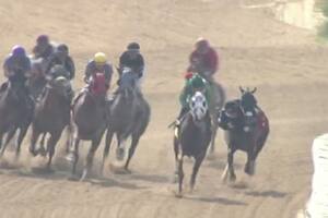 Un jockey quedó colgado del caballo en plena carrera y el desenlace sorprendió a todos