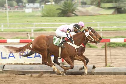 Abierta, Ever Pizzi llegó a tapar a Picadilly Circus