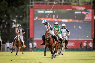 La Dolfina. Una mezcla de Ave Fénix y Globetrotters que está siempre en la final