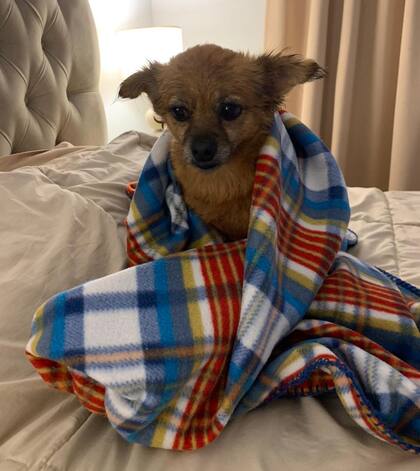 Abrigada y arriba de la cama