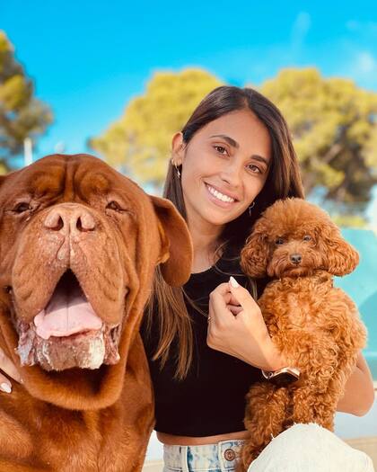 Abu, el pequeño caniche toy acompaña a Antonela durante sus rutinas de gimnasia (Foto: Instagram / @antonelaroccuzzo)