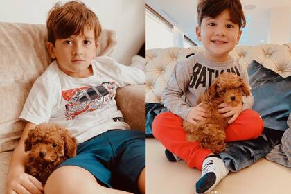 Abú se sumó a la familia hace un año, en plena pandemia