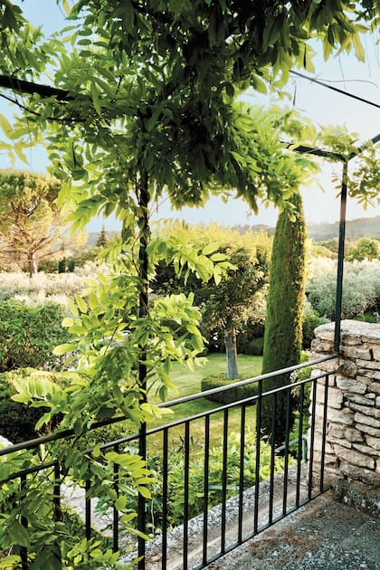 "Acá tenemos las plantas mediterráneas que amamos: romeros, lavandas, cipreses y olivos, además de rosas ‘Iceberg’ blancas”, enumera.