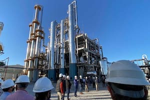 ACABio exportó ya a Brasil y considera que es un mercado interesante para explotar.