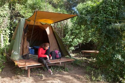 Acampar es una de las actividades que se puede hacer en un parque nacional en EE.UU., pero jamás llevarse algo del espacio natural (Imagen ilustrativa)