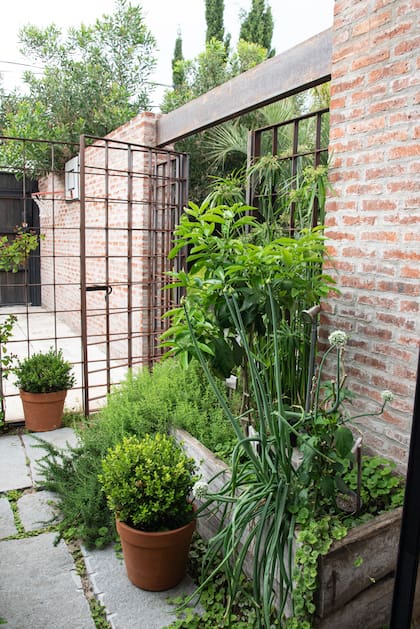 Acceso, con un cantero con especies para la cocina.