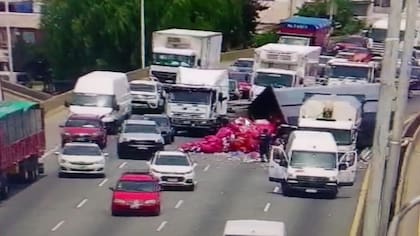 Accidente de camiones en la autopista Buenos Aires-La Plata