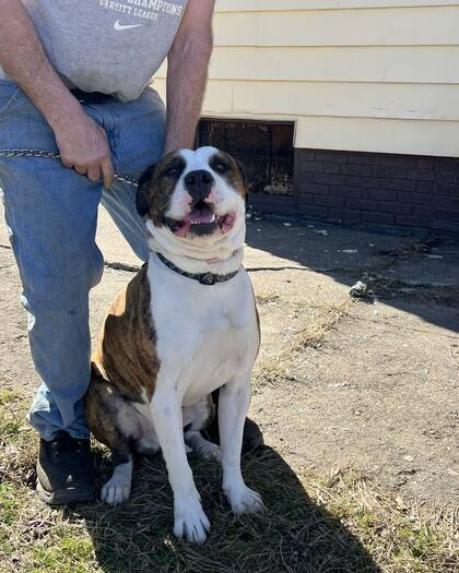 Ace sorprendió a todos con su precisión.