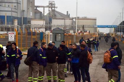 Aceiteros en una planta de San Lorenzo. SOEA
