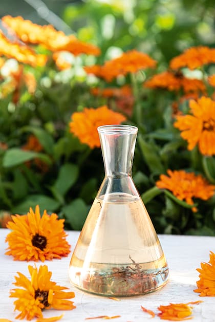 Aceites y flores: combinaciones simples que potencian la nutrición de la piel