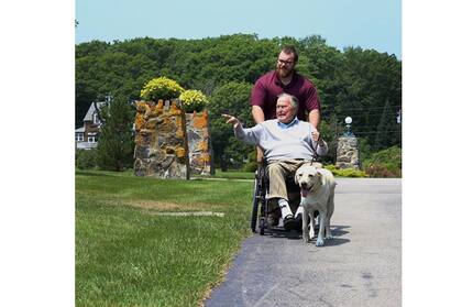 Acompañando a su amo en los paseos diarios