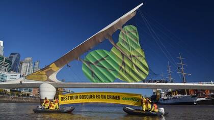 Activistas de Greenpeace simularon un bosque desmontado en el Puente de la Mujer