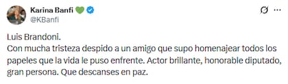 "Actor brillante, honorable diputado, gran persona", escribió la exdiputada Karina Banfi