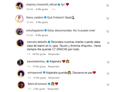 Actores y actrices despidieron a Alejandra Darín en las redes (Foto: Instagram @asociacionargentinadeactores)