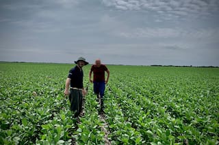 ACTUALIZA 2-Argentina baja impuestos a exportación de soja y derivados