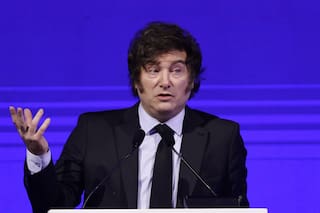 ACTUALIZACIÓN
Agro argentino celebra baja en impuesto a exportaciones; poco impacto comercial previsto