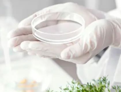 Actualmente, el ecosistema local cuenta con unas 115 empresas con productos biológicos registrados y, en términos productivos, el mercado está concentrado en ciertos segmentos: “El mercado en la Argentina está muy concentrado en lo que son inoculantes de soja”