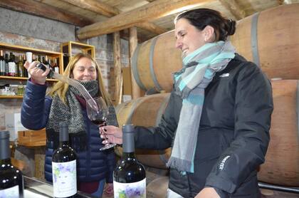 Actualmente, el grupo cuenta con 500 botellas de vino distribuidas en 250 botellas variedad de Malbec y 250 botellas de Merlot, ambas de la cosecha 2020, que se destinarán a la venta. Gza Geraldine De Marchi