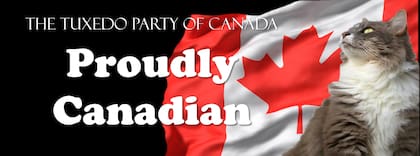 Actualmente, el Partido del Esmoquin de Canadá es un referente en la lucha por el bienestar felino de Canadá
