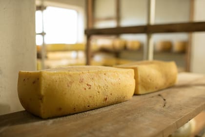 Actualmente, la producción de quesos es la principal actividad.