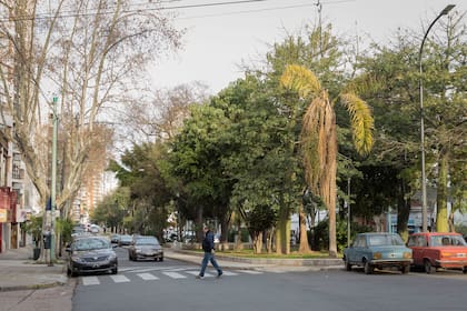 Actualmente la rentabilidad de un alquiler para el propietario se ubica en 6,02% anual para una casa y 3,24% para un departamento