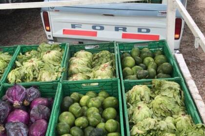 Actualmente, las ONGs solo cuentan con tres acoplados para coordinar el retiro de la mercadería disponible