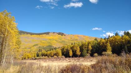 Actualmente, Lucas reside en Colorado (en la foto, un paisaje de Aspen). "Hay clínicas que te afilias gratuitamente y podés tener atención médica de todo tipo por 10 dólares la consulta y los remedios están a precios muy muy bajos (según cuáles, 3 dólares). Te atienden de primera, con instalaciones de primera. Si bien no es para urgencias, al menos podés realizarte todos los controles por muy poco dinero", asegura.